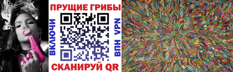 omg ONION  Ельня  Псилоцибиновые грибы Psilocybe  купить  
